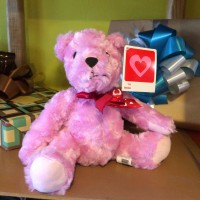 Oso de peluche Rosa