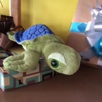 tortuga chica
